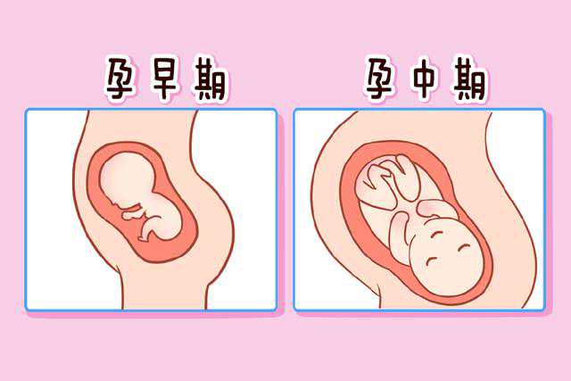 广州试管婴儿供卵（试管婴儿供卵费用）