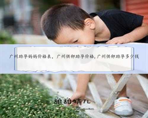 广州助孕妈妈价格表，广州供卵助孕价格,广州供卵助孕多少钱